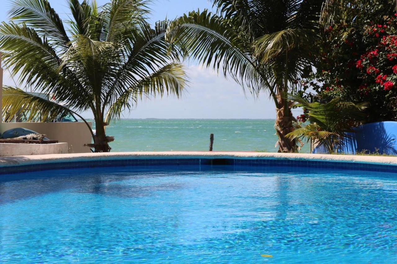 Seaak Cancun Rentals Eksteriør bilde